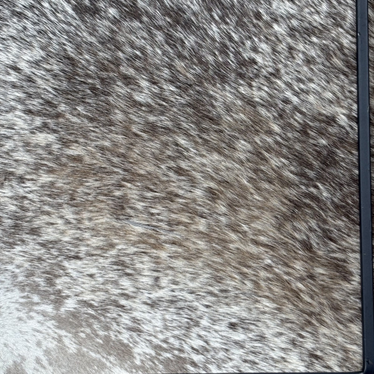 Charola cowhide grande - 331, vista superior. Piel natural con pelo y herrería negra.